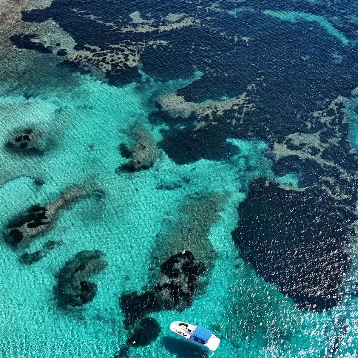 Bootstour Bucht von Alcudia